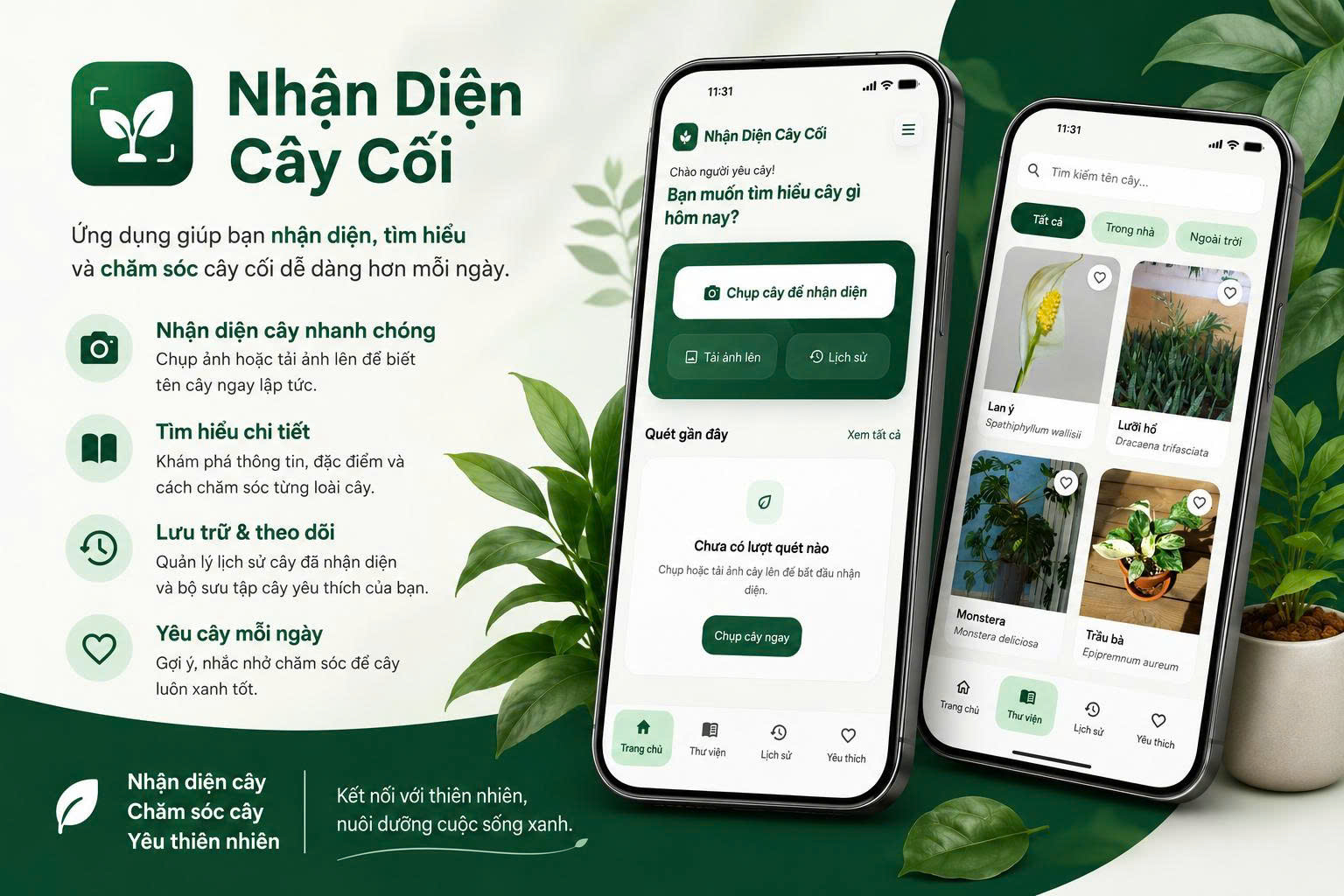 Plants Cây Cối